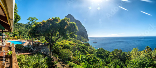 Fototapeta Naklejka Na Ścianę i Meble -  Mango tree St Lucia