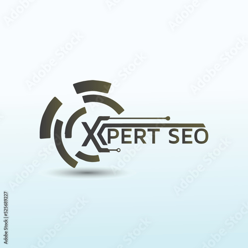 Modern logo design with X pert expert word