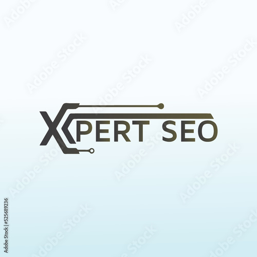 Modern logo design with X pert expert word