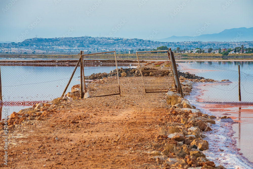 Cityscape of the Pink Lagoon of Torrevieja and its Salt Mines (Alicante, Spain)