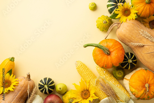 Thanksgiving day concept. Top view photo of vegetables pumpkins gourds pattypans maize zucchini pear and wheat on isolated beige background with copyspace photo