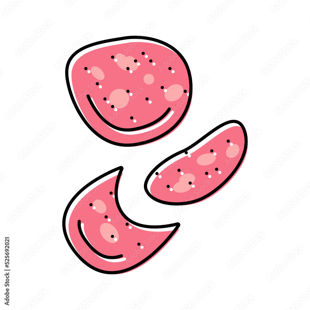salami slice food cut color icon vector illustration