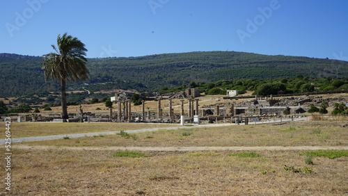 Baelo Claudia Archaeological Ensemble
roman city
cadiz spain 08/10/2022