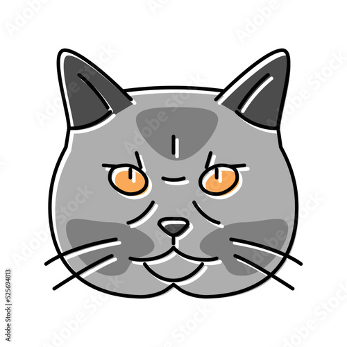 british shorthair cat cute pet color icon vector illustration
