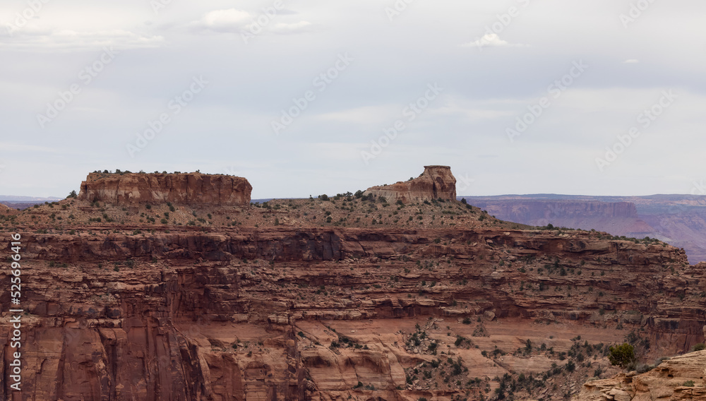 Scenic American Landscape and Red Rock Mountains in Desert Canyon. Spring Season. Canyonlands National Park. Utah, United States. Nature Background.