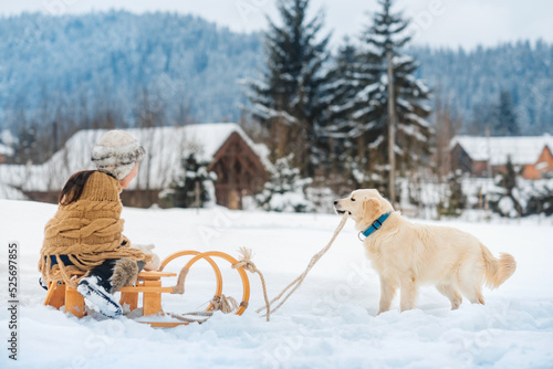 Small child is playing with dog. Dog pulls wooden sled through snow. Child is sledding in winter. © Olha