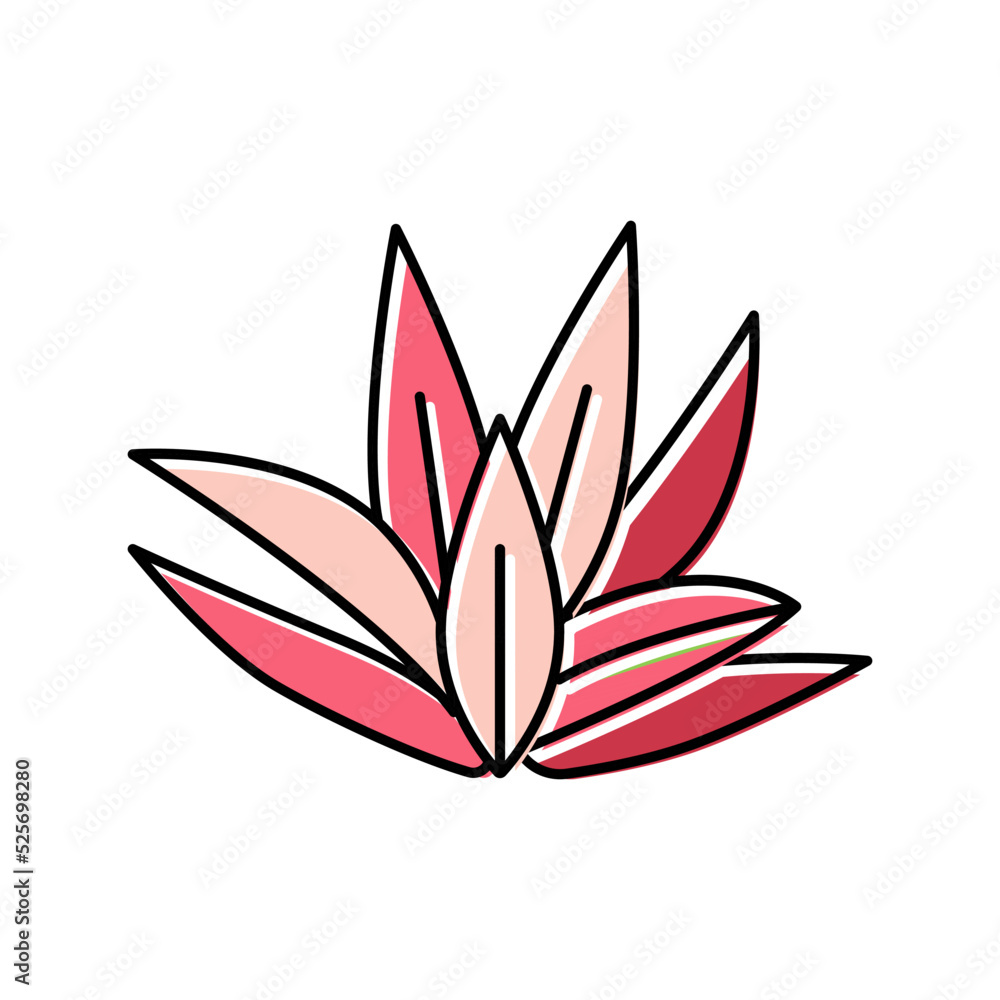 cryptocoryne wendttii color icon vector illustration
