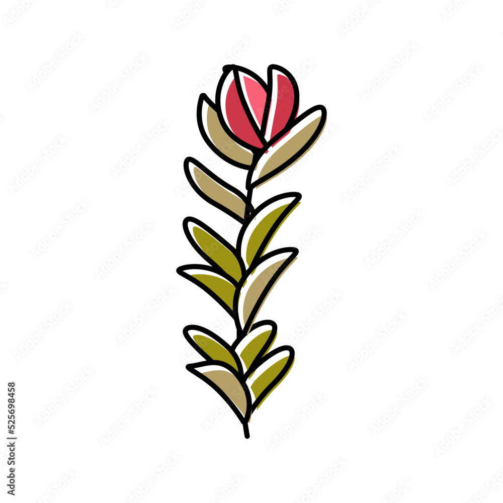 rotala rotundifolia seaweed color icon vector illustration