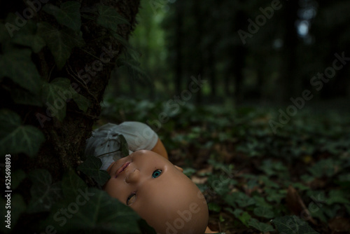 Close up dark scene of scary child doll in deep woods growth by ivy everywhere just before night. Restless low light scene creating spooky feeling suitable for Halloween holiday or some cemetery story