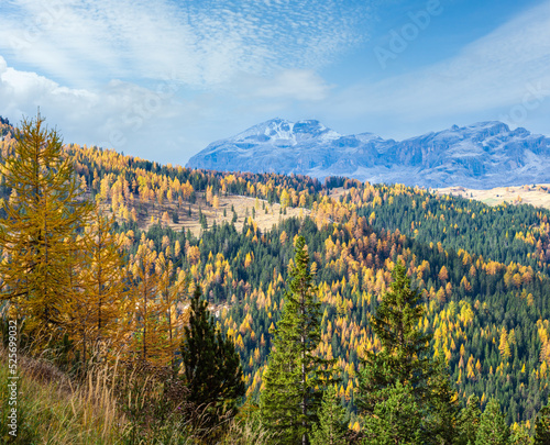 Overcast morning autumn alpine Dolomites mountain scene. Peaceful view near Valparola Pass  Belluno  Italy.
