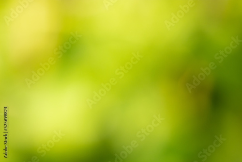 abstract nature green background, ecology