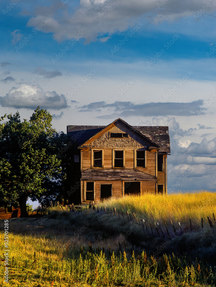 Fence leading to an abandoned homestead on a farm on Tygh Ridge, neasr