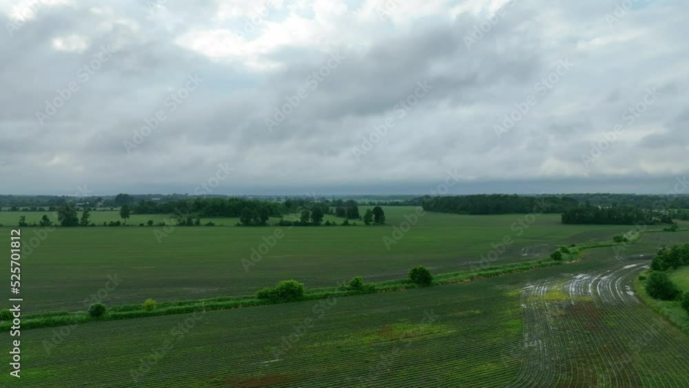 Adventure drone shot of green forest and high way in summer Adventure drone shot of green forest and high way in summer