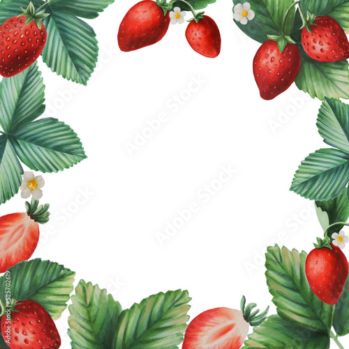 Strawberry isolated frame