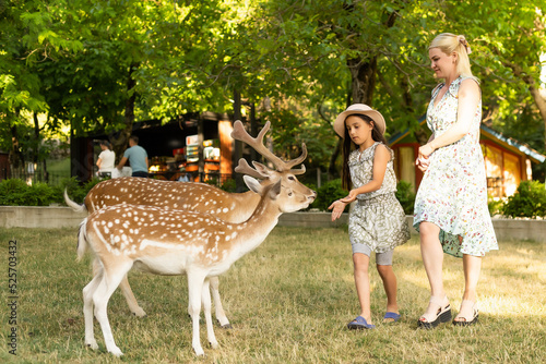 Valokuvatapetti Photo of a young girl feeding deer and hugs him