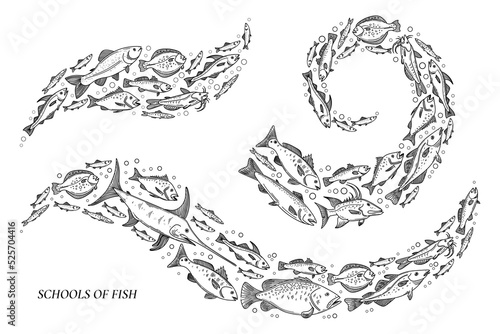 Fish wave composition. Decorative flock of fish. Vector illustration of school of fish