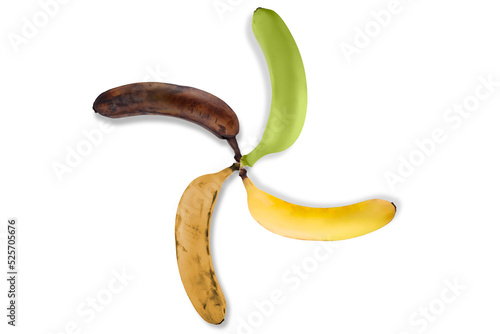 green banana to yellow and brown banana getting old, ripeness level fresh to rotten 