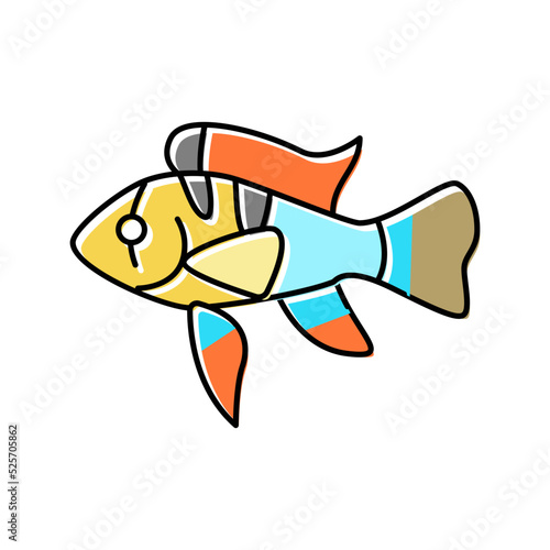 ram cichlids fish color icon vector illustration