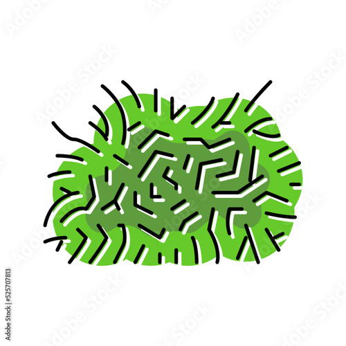 java moss color icon vector illustration