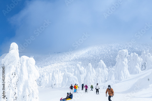 白銀世界の山形蔵王の樹氷とスキー場ゲレンデ photo