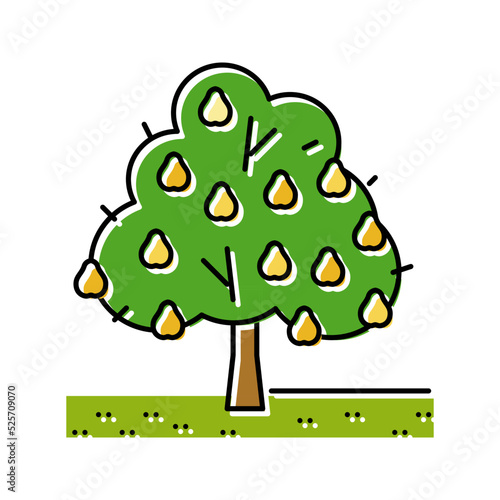 tree pear color icon vector illustration