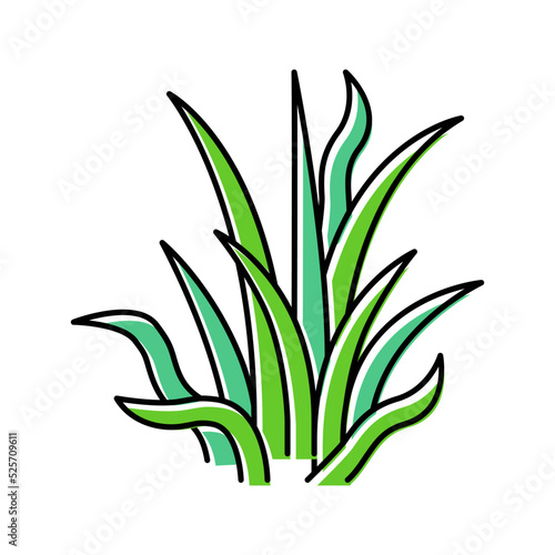 pygmy chain sword color icon vector illustration