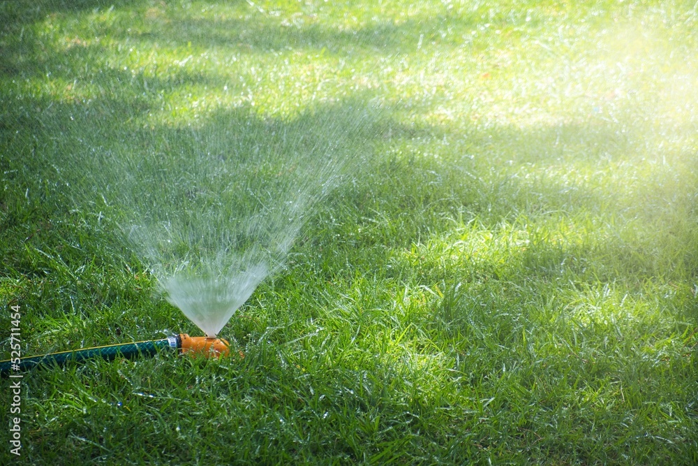 Water sprinkler watering the grass Water sprinkler watering the grass