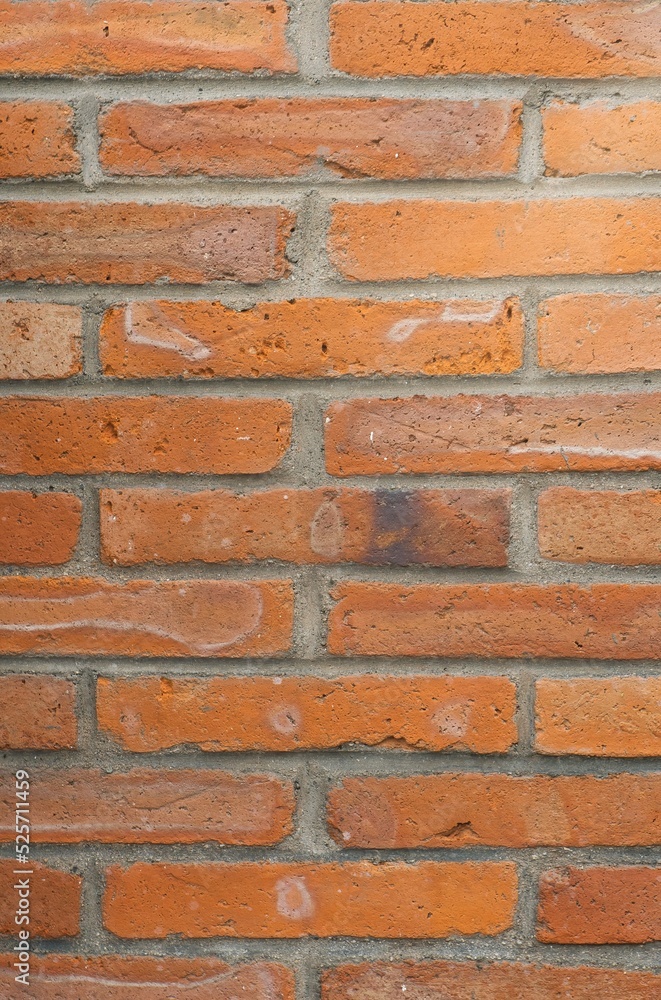 Fototapeta premium Construction bricks texture background red