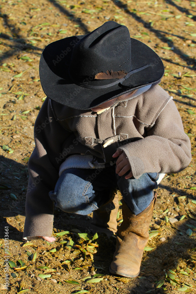 Young cowboy