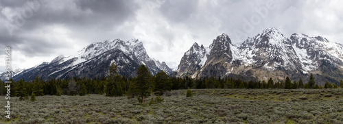 Trees, Land and Mountains in American Landscape. Spring Season. Grand Teton National Park. Wyoming, United States. Nature Panorama Background