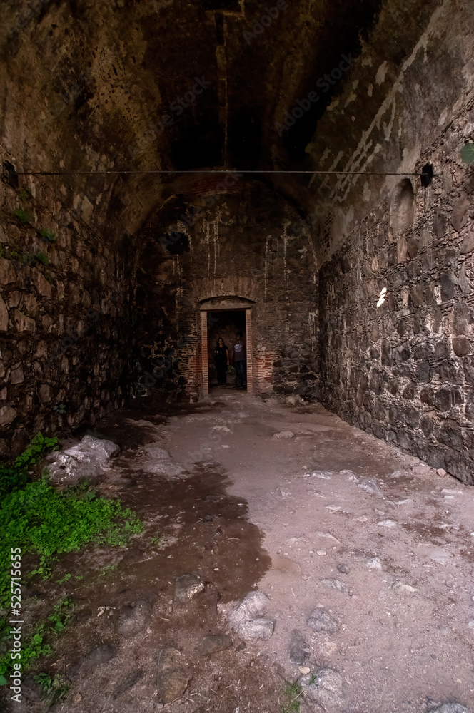 Fototapeta premium old abandoned building, nature grows back brick