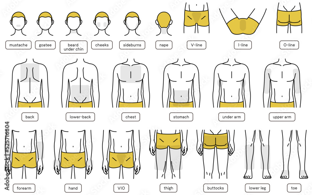 Body part sets by location for men's hair removal, beard and VIO, full