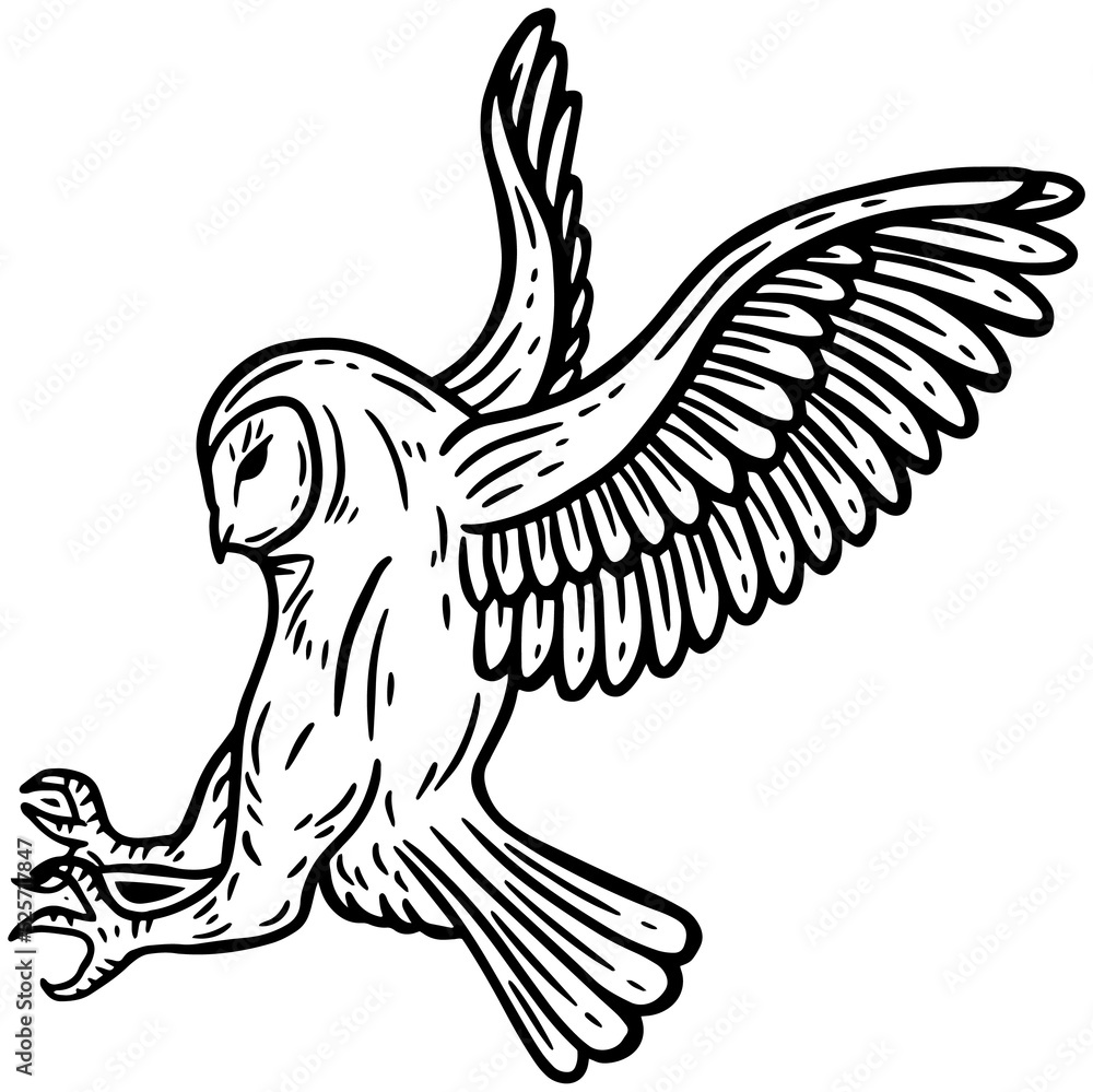 Obraz premium Owl Bird Hand Drawn illustration