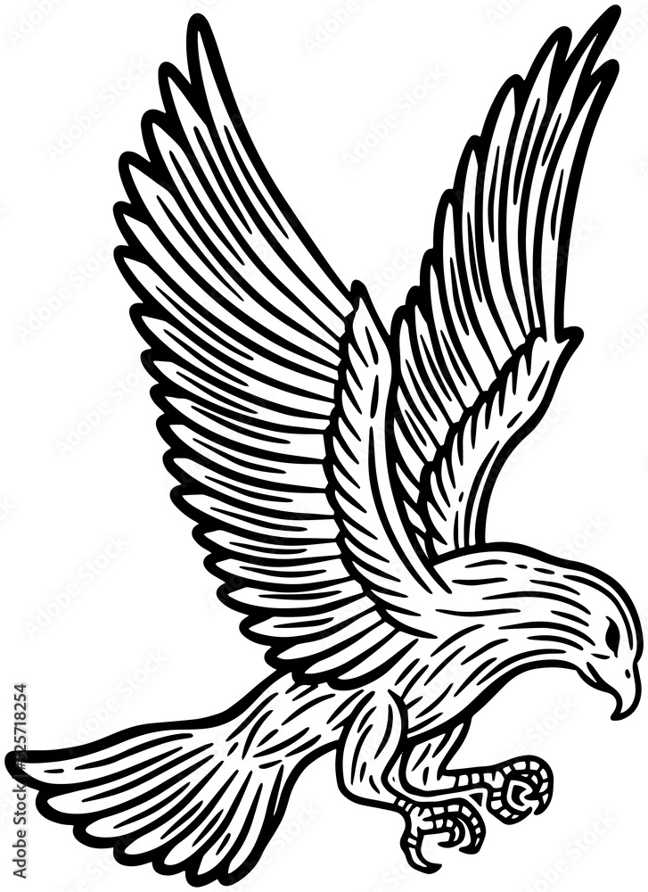 Fototapeta premium Eagle Bird Hand Drawn illustration