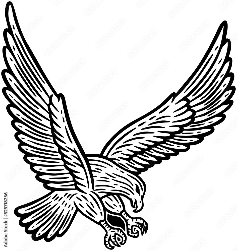 Fototapeta premium Eagle Bird Hand Drawn illustration