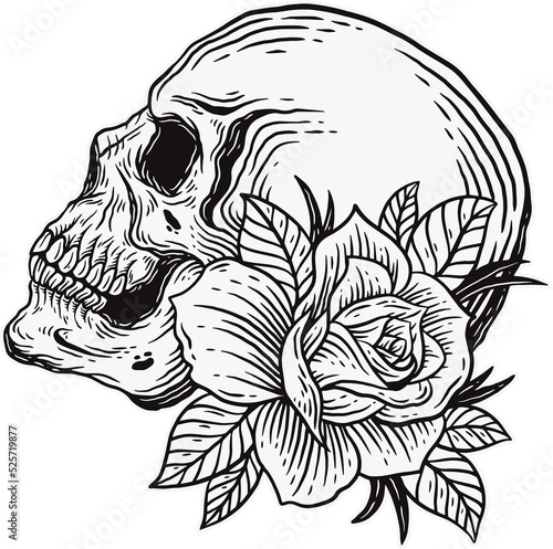 Skull Rose Dark illustration Beast Skull Bones Head Hand drawn Hatching