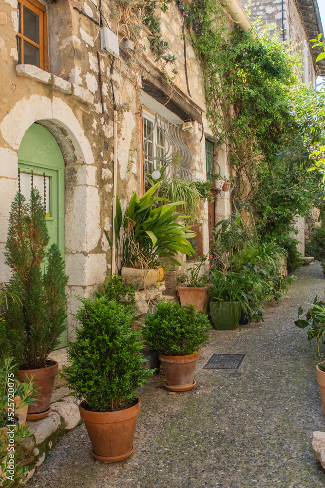 France European Italy Village Stonework Vines Summer 