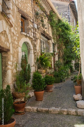 Fototapeta Naklejka Na Ścianę i Meble -  France European Italy Village Stonework Vines Summer 