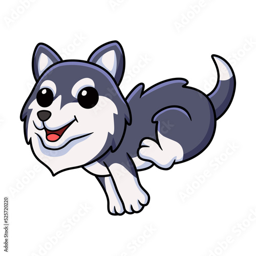 Cute siberian husky dog cartoon running
