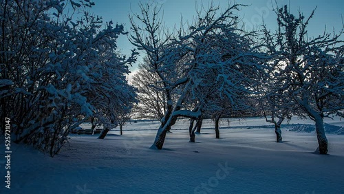 Static shot of snow covered trees and plains on a cloudy day in timelapse. photo