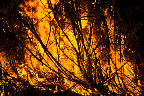Sugar cane fire at night on the farm in Brazil