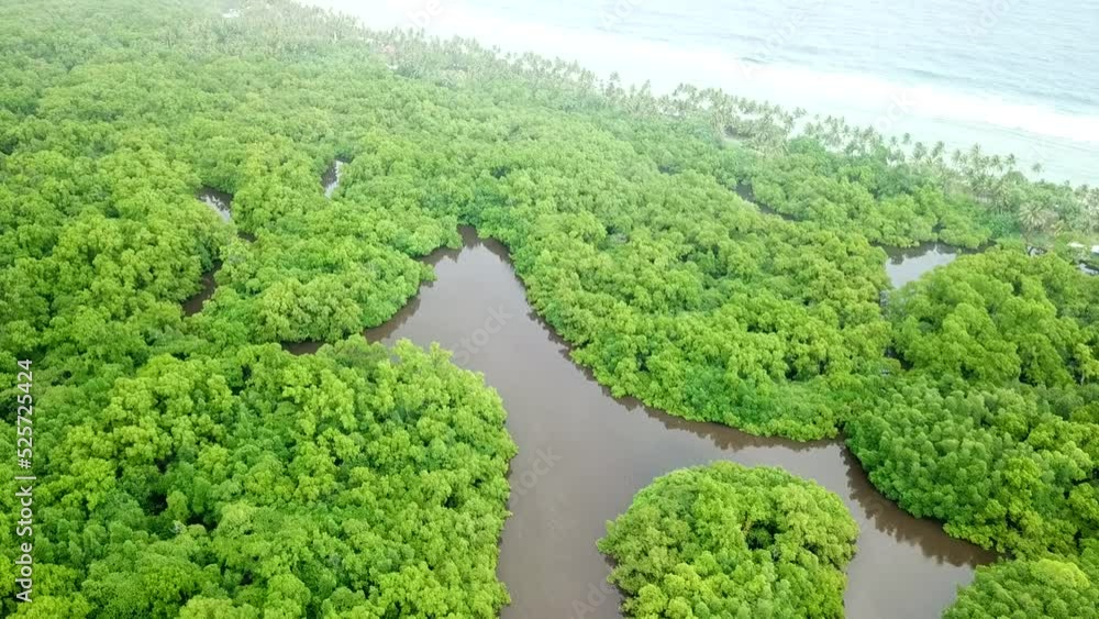 Utwe Biosphere Reserve in Kosrae, Micronesia (Federated States of Micronesia) Utwe Biosphere Reserve in Kosrae, Micronesia (Federated States of Micronesia)