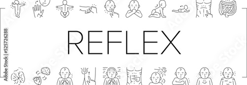Reflex Of Human Neurology System Icons Set Vector