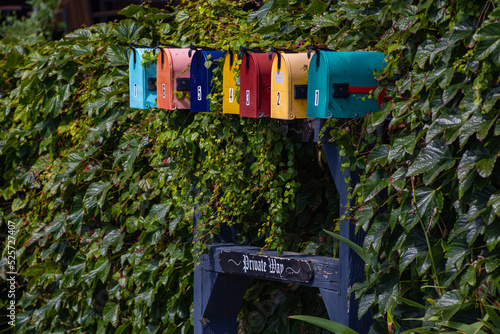 Colorful Mailboxes In Long Row With Ivy Background Reminder of Rainbow Colors