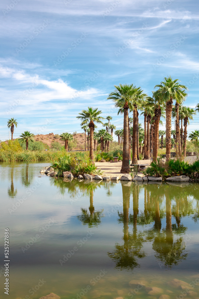 Palm trees water reflection oasis and mountains in the desert at Papago Park in Phoenix Arizona