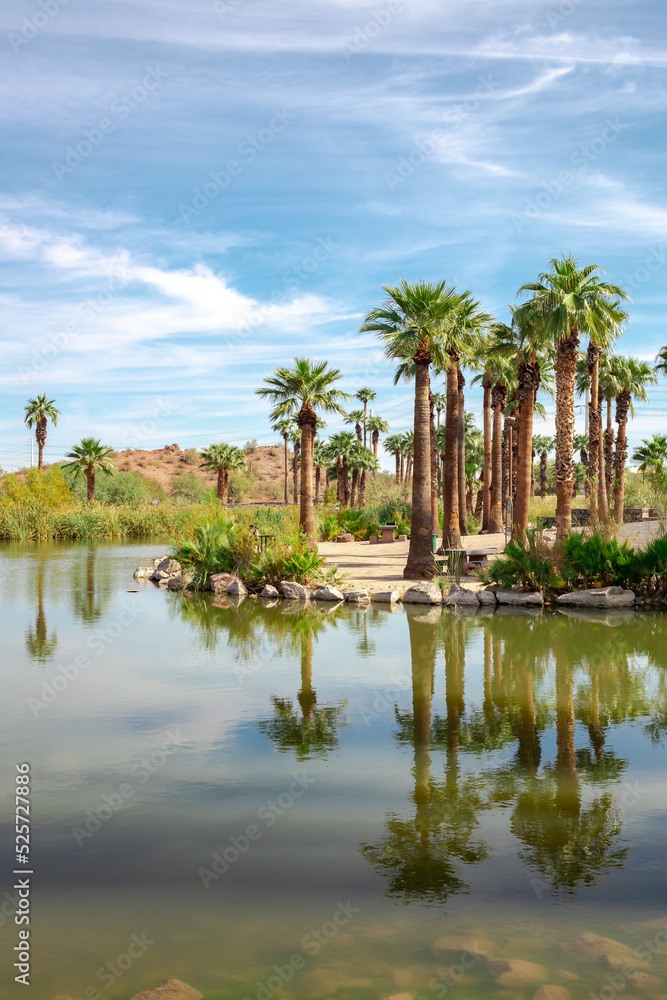 Palm trees water reflection oasis and mountains in the desert at Papago Park in Phoenix Arizona Palm trees water reflection oasis and mountains in the desert at Papago Park in Phoenix Arizona