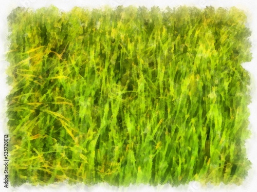 a group of bushes watercolor style illustration impressionist painting.