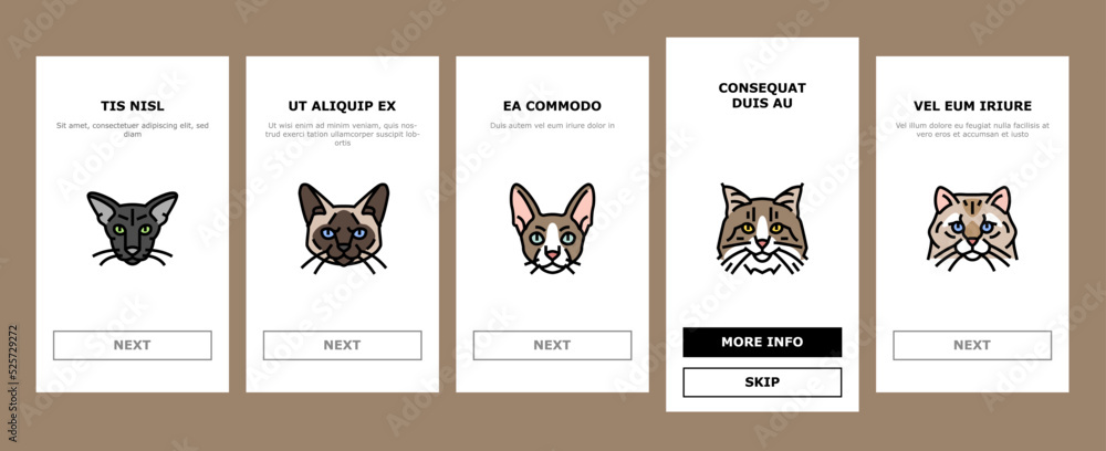 cat cute pet animal kitten funny onboarding icons set vector