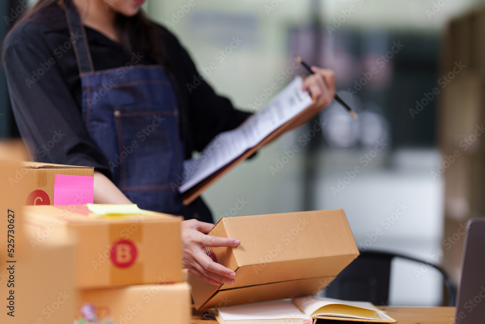 Starting Small business entrepreneur SME freelance Asian working at home