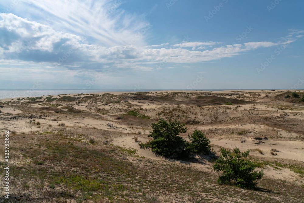 View of Staroderevenskaya dune from the height of Efa (Walnut Dune) and the Baltic Sea in the background on a sunny summer day, Curonian Spit, Kaliningrad region, Russia
